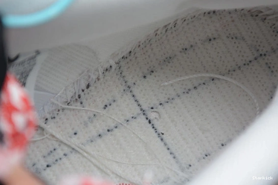 Frame Dunk Low x CT2550-600 Skate Nike SB 1108